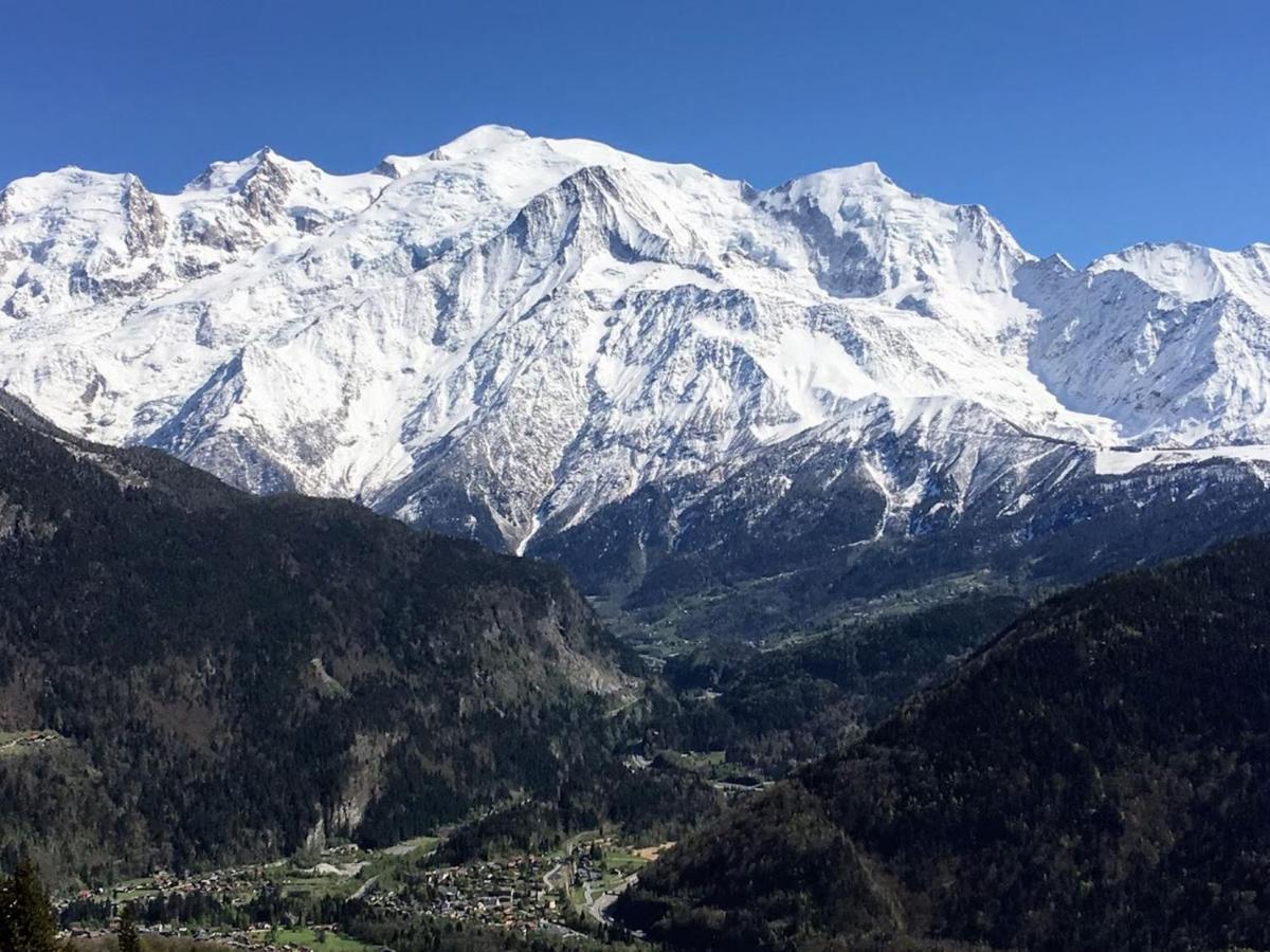 Fizhome Mt Blanc Passy  Extérieur photo